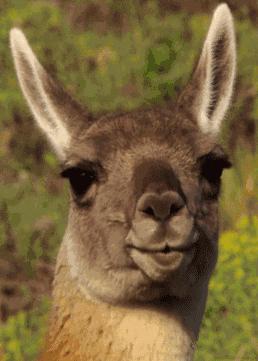 学美术专业干什么最挣钱,学美术能从事的行业有哪些