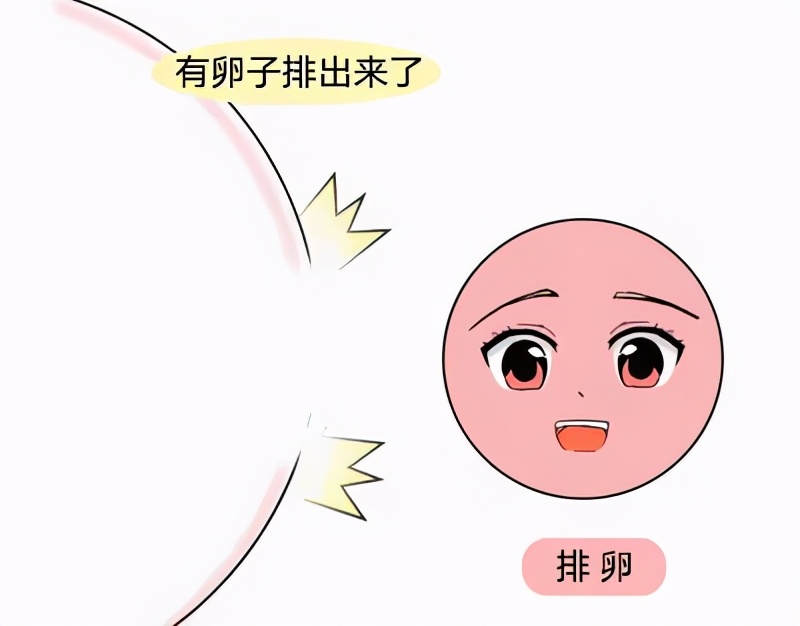 多囊卵巢能自然怀孕吗,多囊样改变什么意思