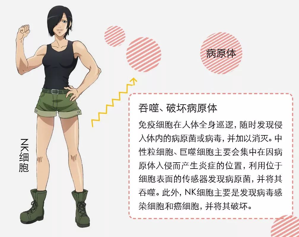 对付新冠病毒最好的方法是免疫力,免疫系统如何打败新冠病毒