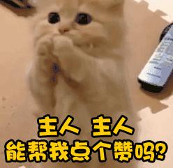 国安金左脚再返山城，张外龙赞：媲美姜至鹏，欢乐兄弟在重庆斯威