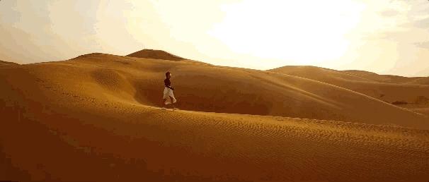 许婧的生活现状,艾小羊往后余生