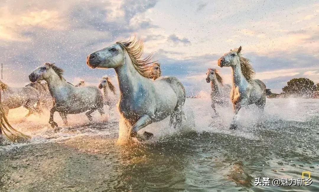 摄影欣赏:大开眼界,美国国家地理拉美官网的精彩大片