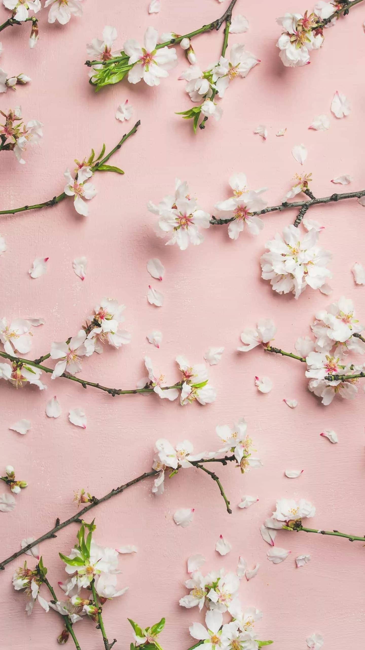 如何快速健康减肥20斤,快速健康减肥一日三餐