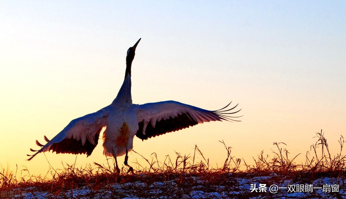 完美人生不存在,完美人生总有些缺陷