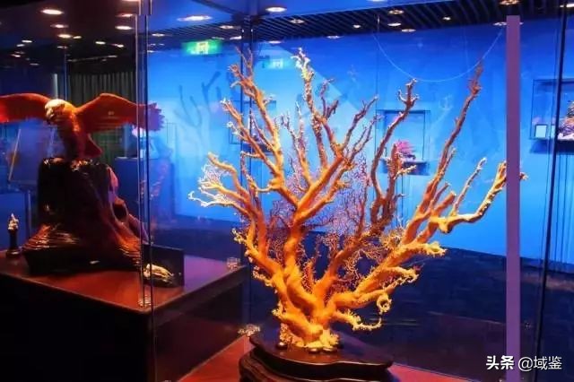 中国各省珍稀宝玉石的地方,世界各地珍稀宝玉石大全