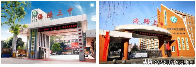 洛阳市政府贺敏,洛阳市政府副秘书长贺敏