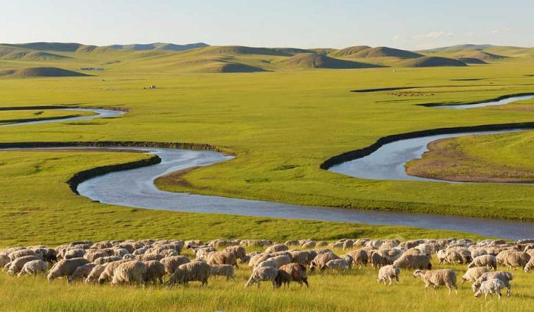 去西北的旅行社哪个好,西北旅游旅行团报名条件是什么