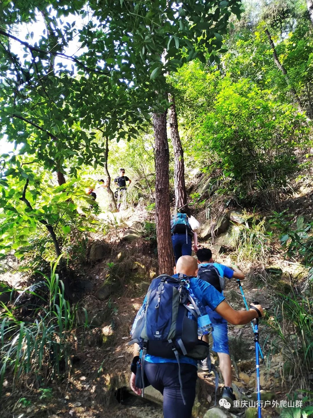 登山杖上山和下山的使用方法,鲁滨逊登山杖的正确使用方法