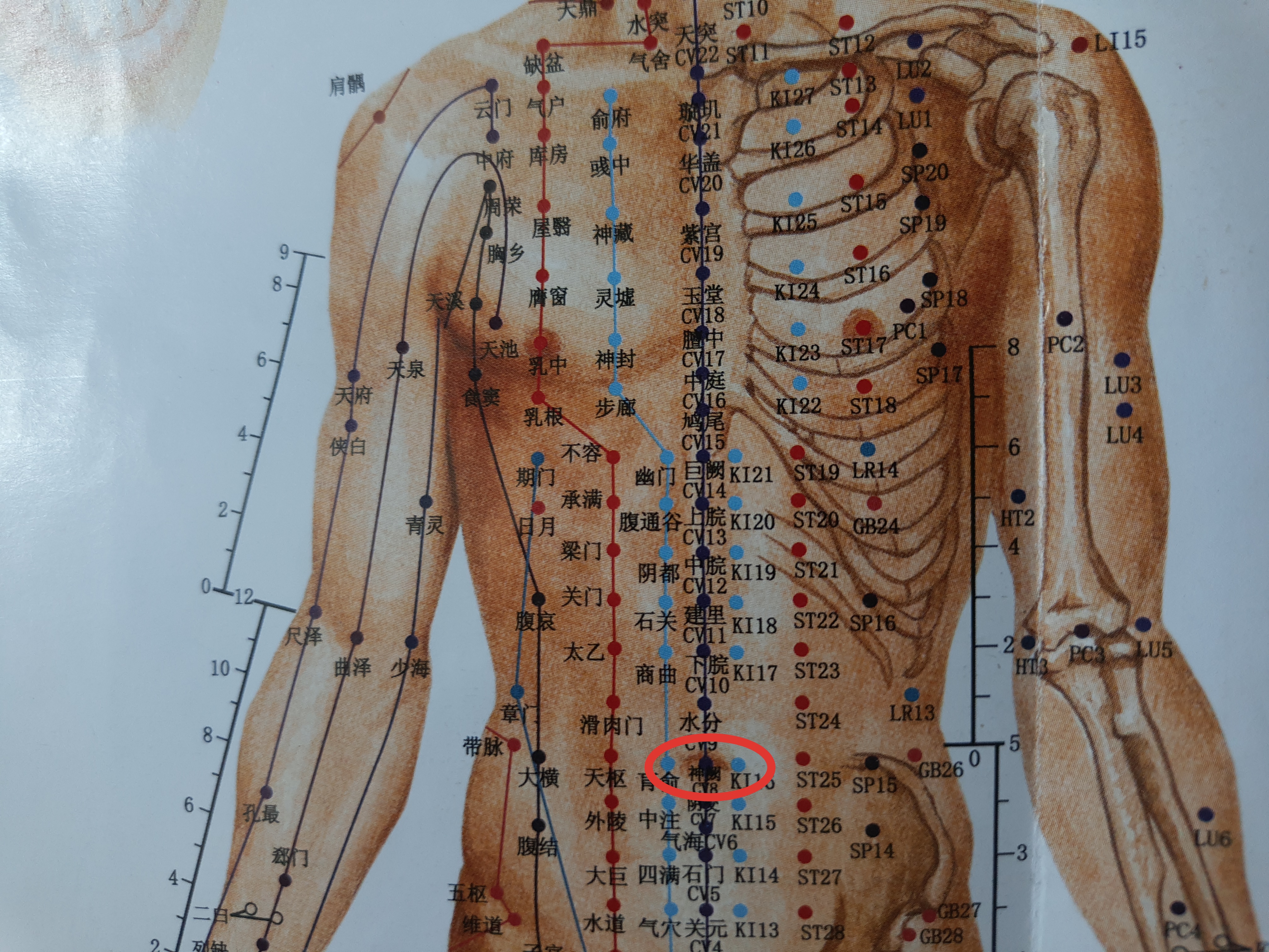 腰腿无力按哪个穴位最好,腰腿血脉不通按什么穴位