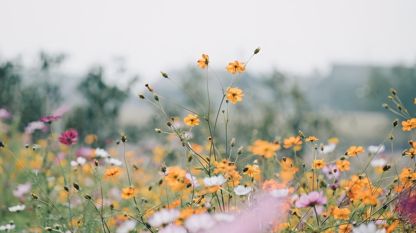 浅谈全国34个省级区域之华东篇：江苏省—宿迁市