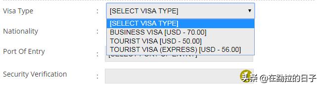 去缅甸自由行签证好办吗,缅甸2020年10月能签证吗