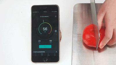 不锈钢防霉抗菌砧板,德国304不锈钢菜板抑菌双面