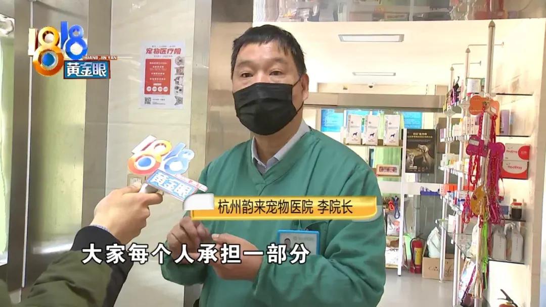 小狗背上一大块斑秃,小狗斑秃起皮屑