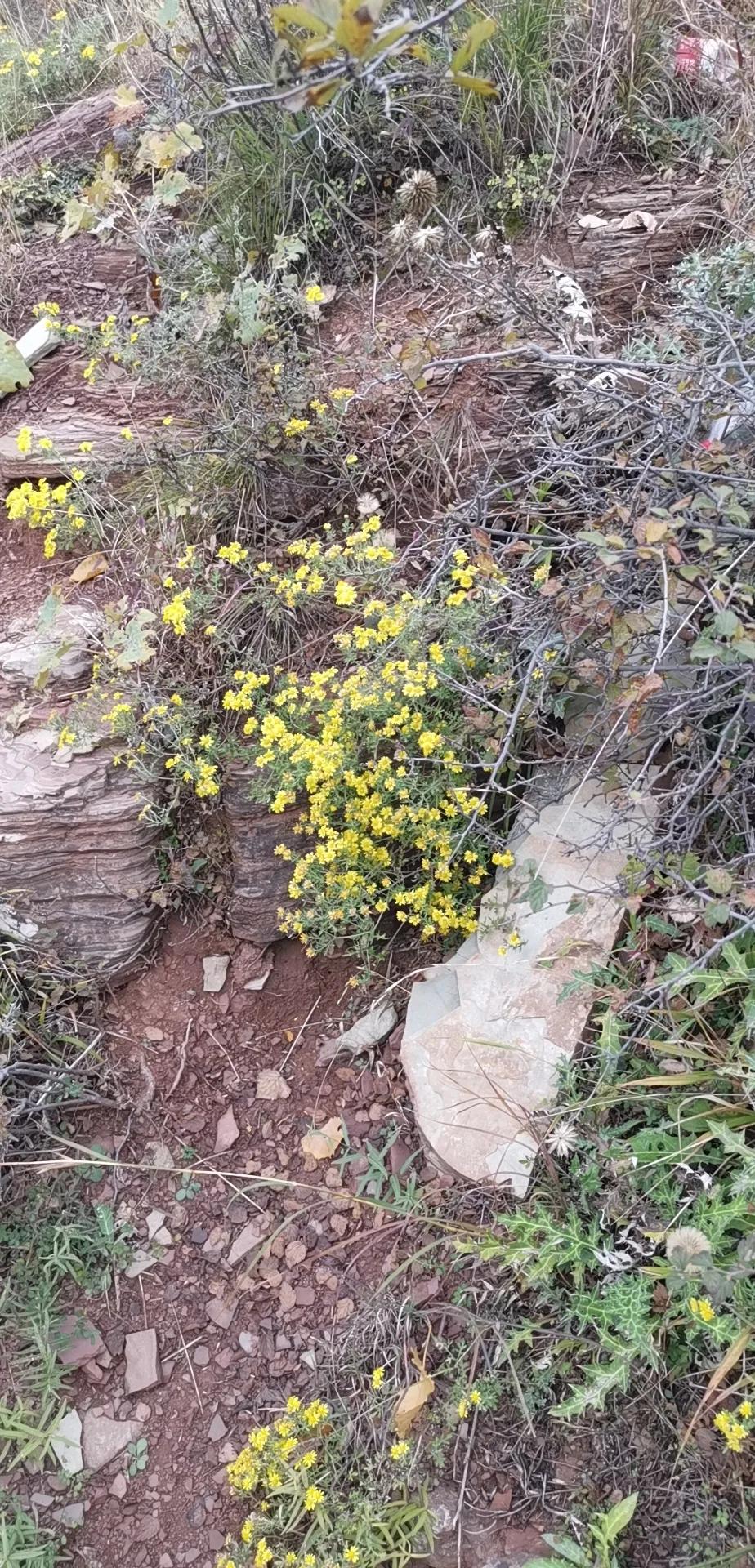 10.我的被离职道路（记如何被单位套路的血泪史过程）