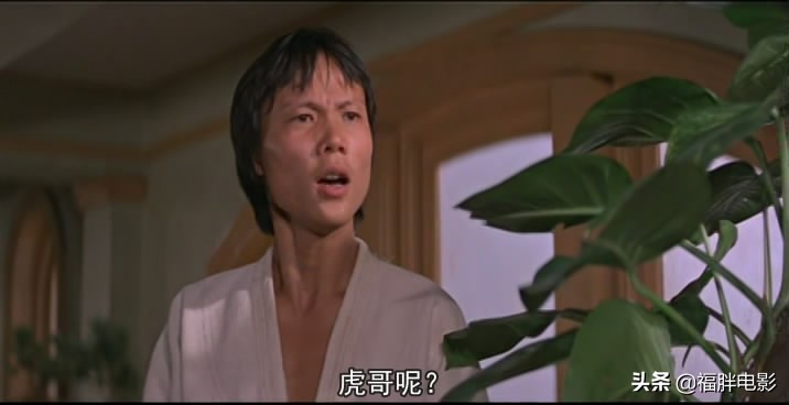 鎴愪篃澶╃倝璐ヤ篃澶╃倝,鎴愪篃璐ヤ篃鐢靛奖瑙ｆ瀽