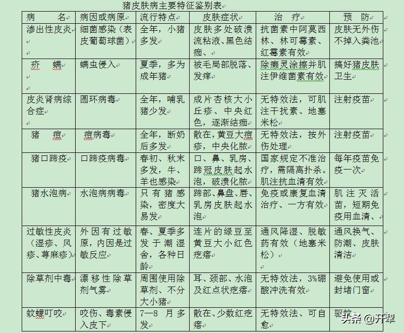 猪得了皮肤病瘙痒怎么治,猪病的治疗猪身上发红怎样治疗