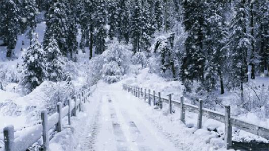 最美的冬雪诗句,春雪的美文美诗