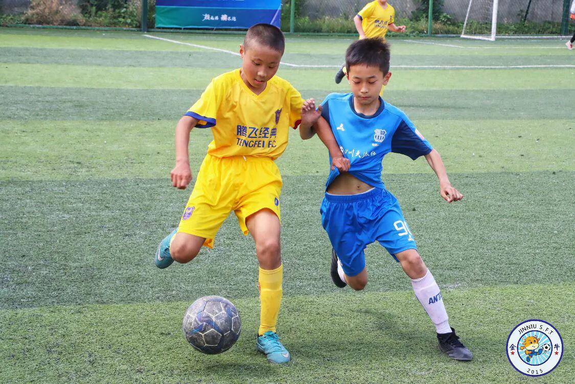 金牛区足球联赛,金牛杯联赛