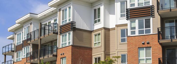 留学生辱骂父母,留学生辱骂父亲