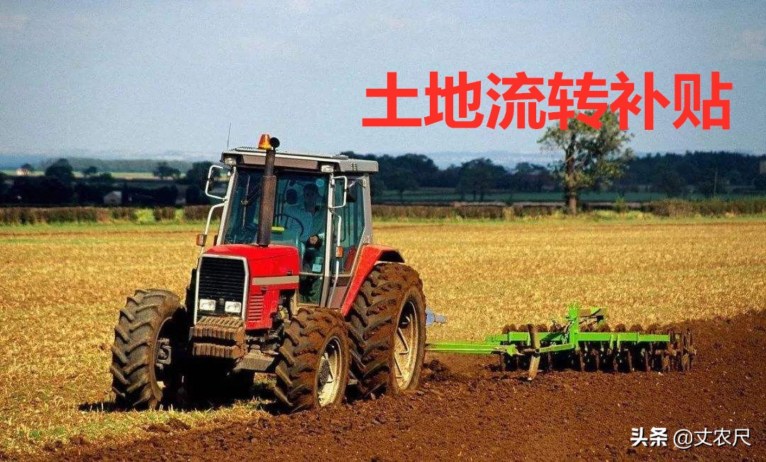 农民的土地流转粮食补贴款归谁,农民流转的土地可否贷款