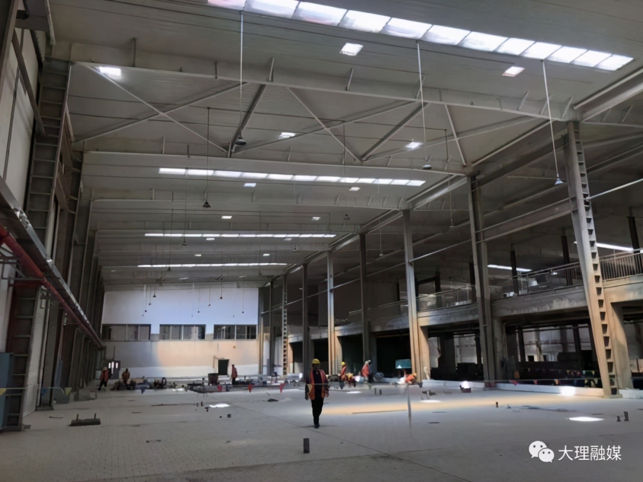 来思尔创始人杨子彪,劳动者风采完整版