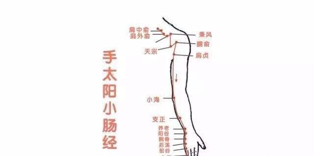 13条人体养生经脉详解,教你打通任督二脉~