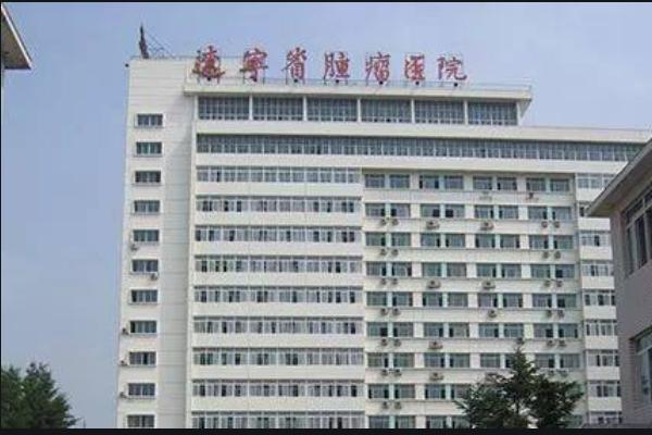 辽宁新增三甲医院,辽宁省三甲中医院