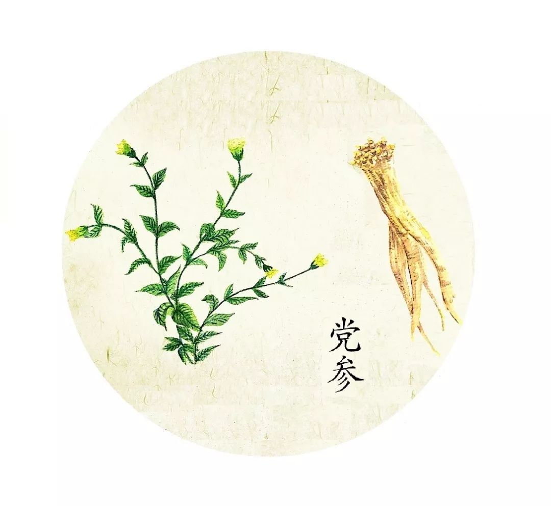 新开河参和高丽参功效有什么区别,什么中药和人参的功效一样