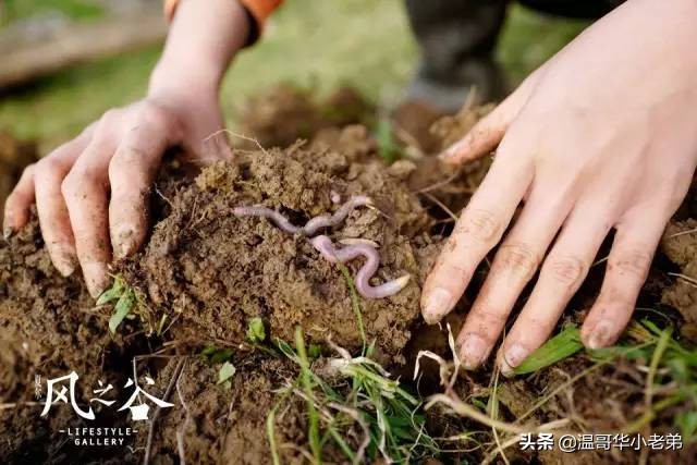 十几年的夫妻感悟,十年的老华人含泪感悟