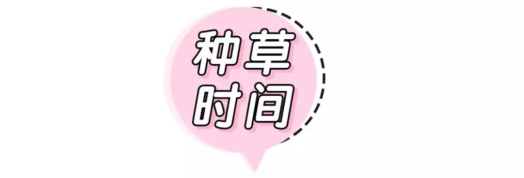 郑爽的“西装外套+阔腿裤”太美！但她的鼻子是又整容了吗？