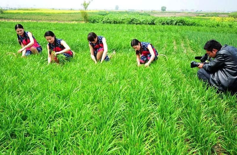 微商选择好产品的十大标准,2020年微商选什么产品