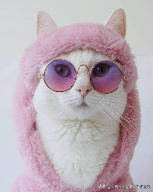 被违法辞退了,被辞退又被绿