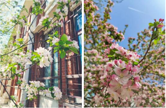 热议！天津大学究竟有多好？官方回应：就14个字！