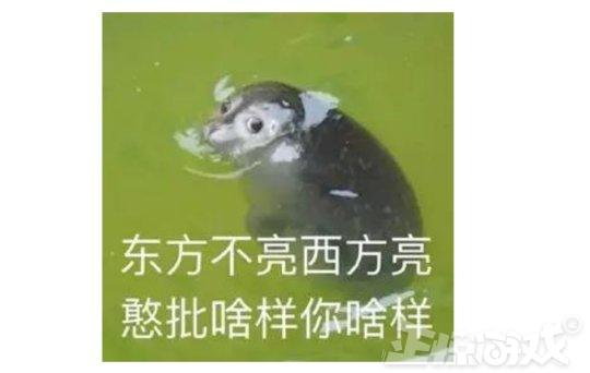 目前能和魔兽世界平起平坐的网游,一个凉了10年的游戏