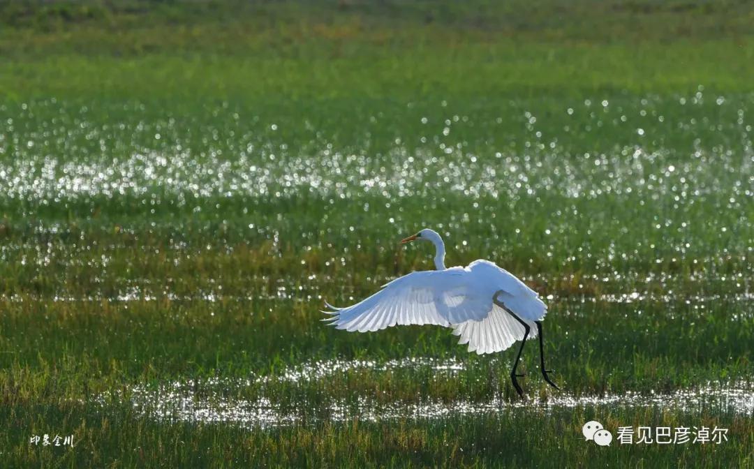七分钟带你领略大美乌拉特前旗 (带你去看乌拉特前旗)