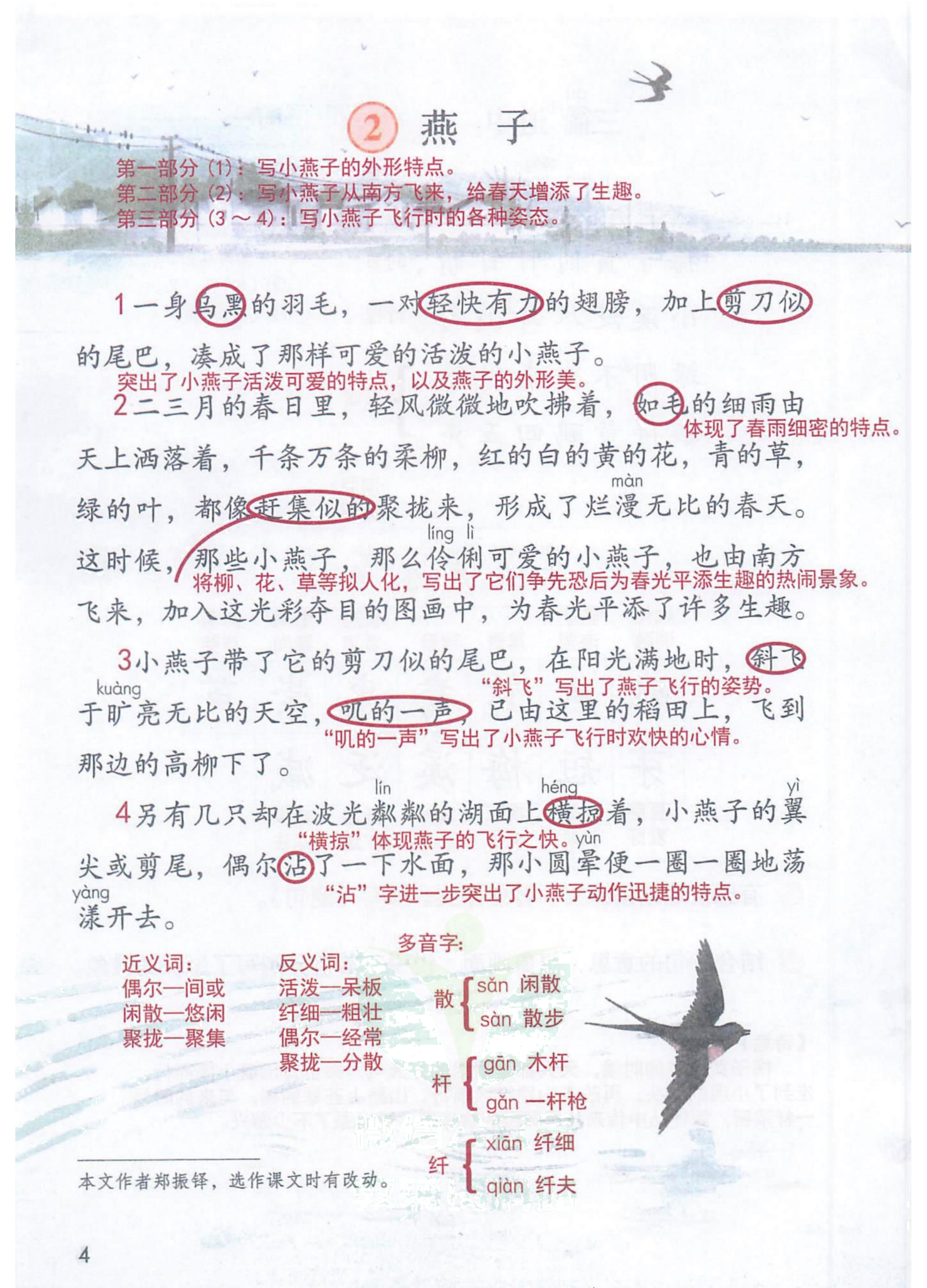 三年级语文下人教版第一单元笔记,三年级语文下册笔记完整版三单元