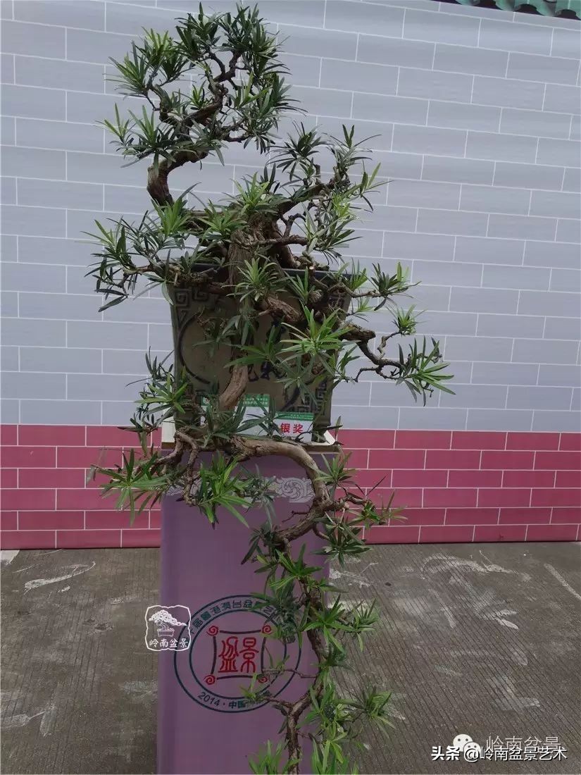 开运招财，非其莫属！清风雅韵，当之无愧！