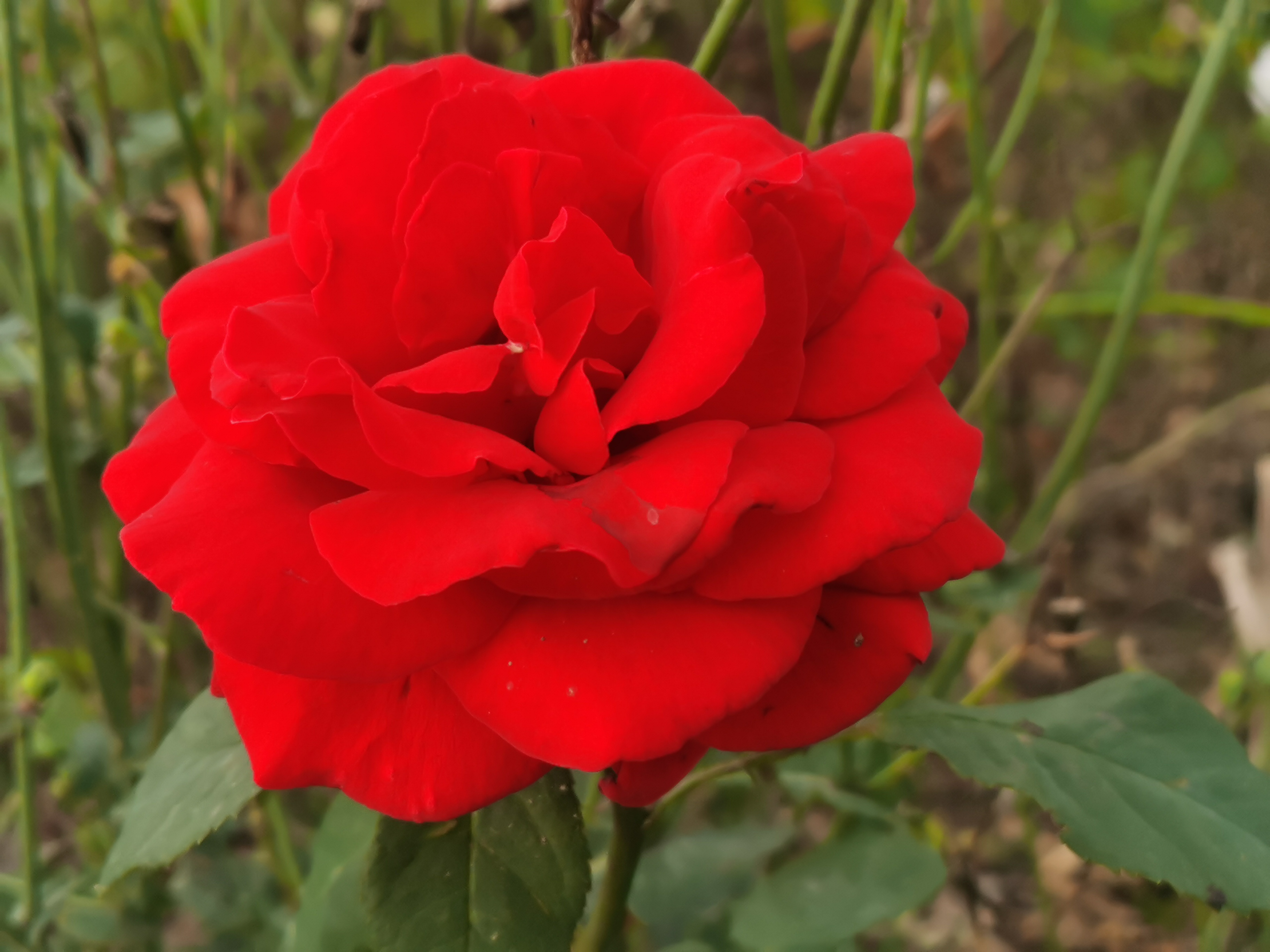 马鞍山风景名胜区,生态画卷美不胜收