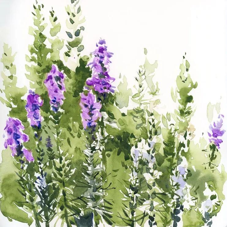 酣畅淋漓的水彩,酣畅淋漓水彩