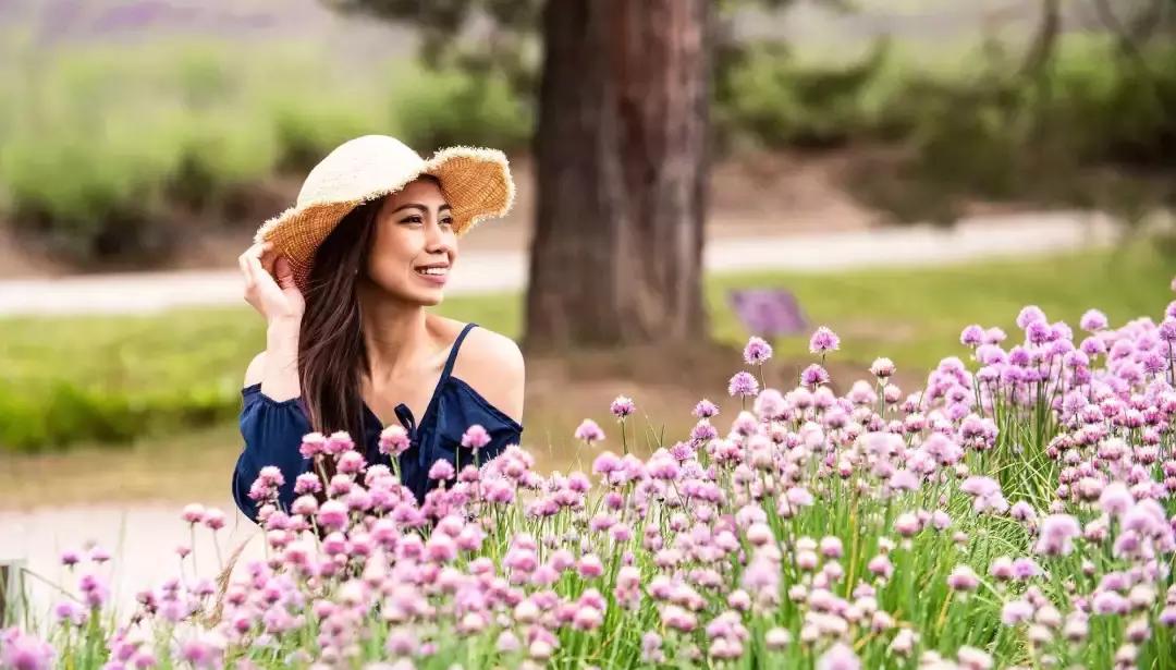 一价全包度假村,一价全包度假村酒店