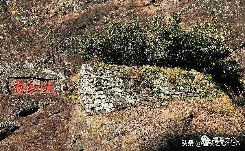 福建最好的茶叶有哪些,福建有哪些茶叶比较好