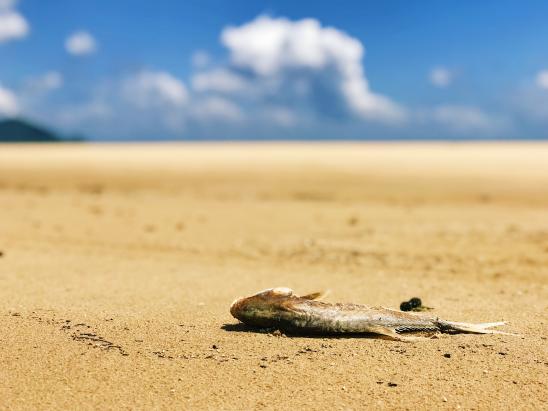 iphone相机操作指南3.0,ios10使用技巧