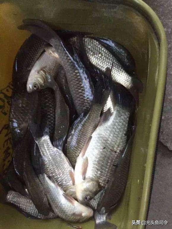 野钓打窝如何记住打窝位置,野钓打窝几种方法