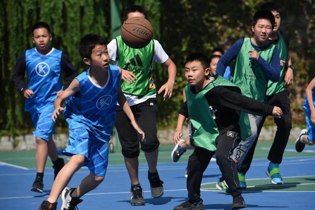 具有特色的校园体育课程,高端的小学学校有哪些体育课程