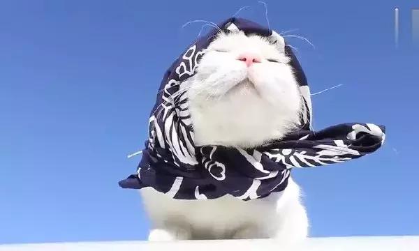 今年冬天第二波寒潮来袭,最强寒潮来袭今年如何过冬