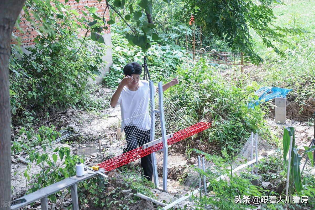 一楼带“院子”的房子值得买吗？建筑学家坦言：存在“5大硬伤”