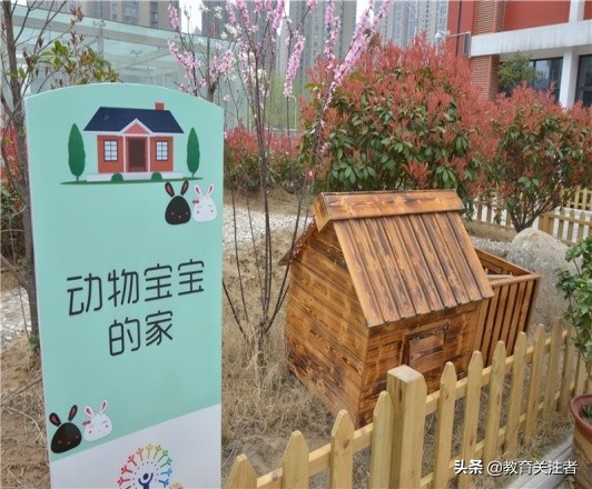 蒲公英小学在郑东新区排名,郑东新区蒲公英小学