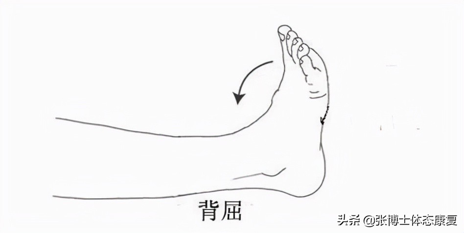 踝关节背屈受限怎样训练,踝关节能力训练
