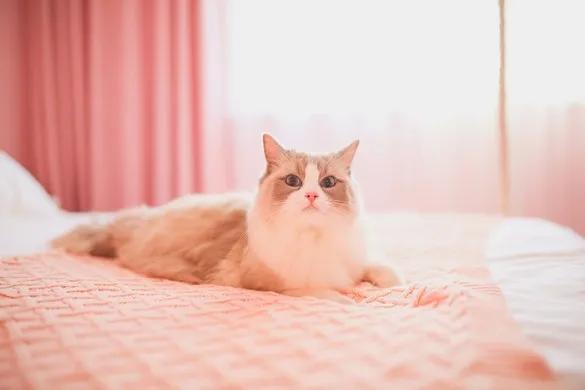 上海近郊游有哪些地方,上海周末玩乐推荐4-6人