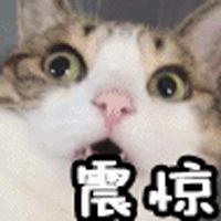 青岛即墨服装批发市场调研,山东问政即墨批发市场